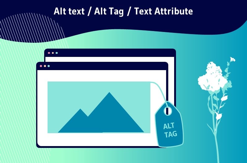 attribut alt