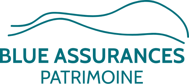 BLUE ASSURANCES