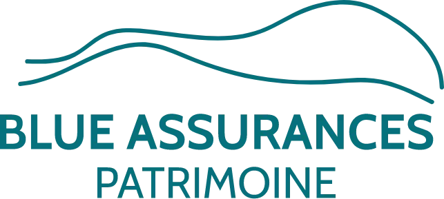 BLUE ASSURANCES